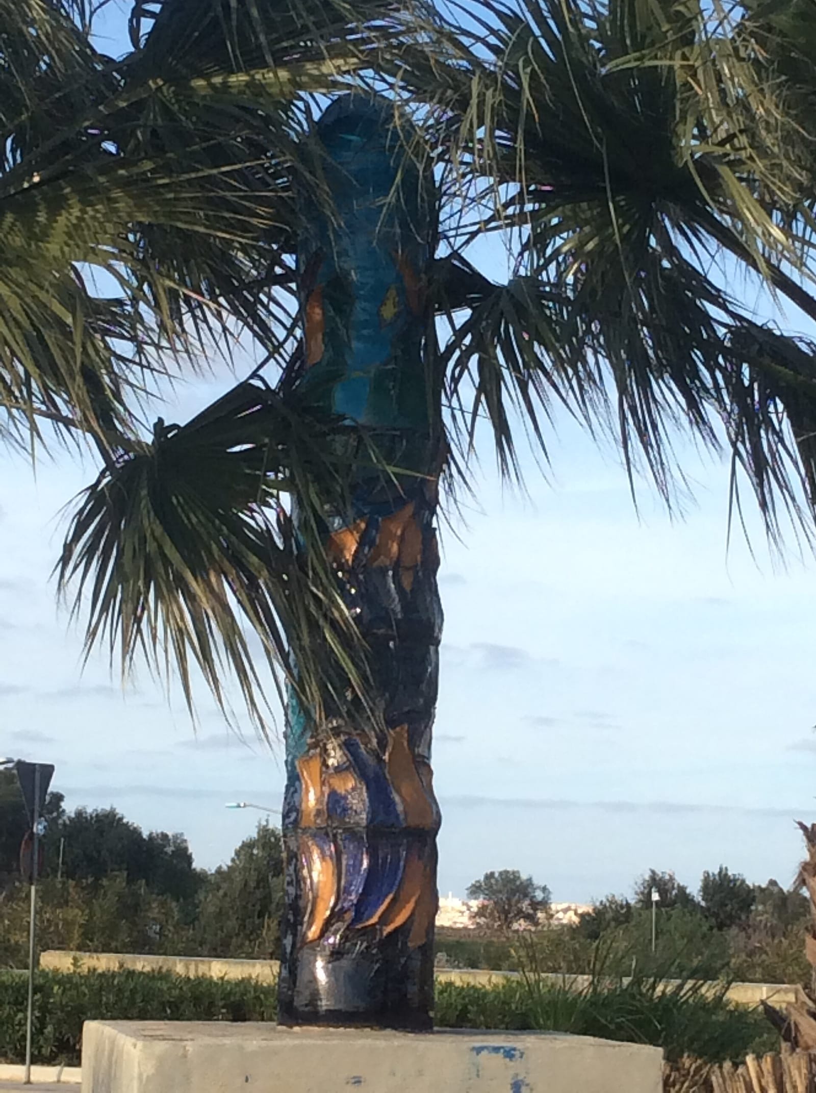 Colonna Mediterranea