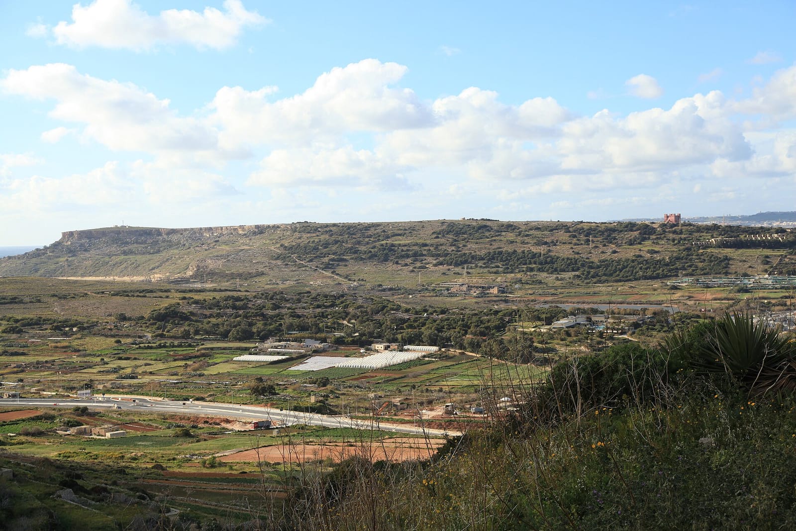 Marfa Ridge