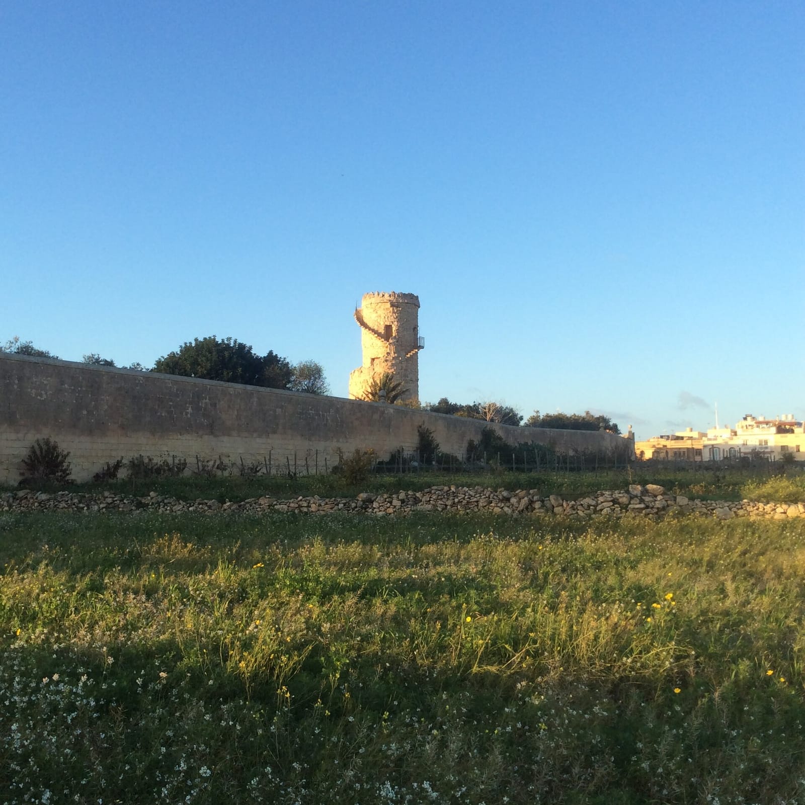 Xlejli Tower