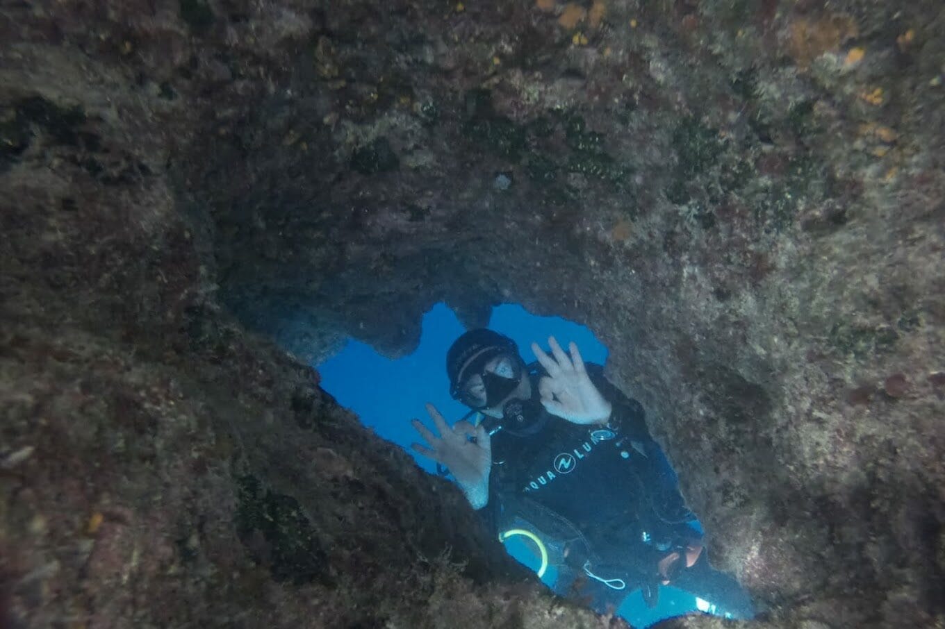 Abyss Diving Club - scuba diving courses and guided dives in St Paul's Bay, photo 2