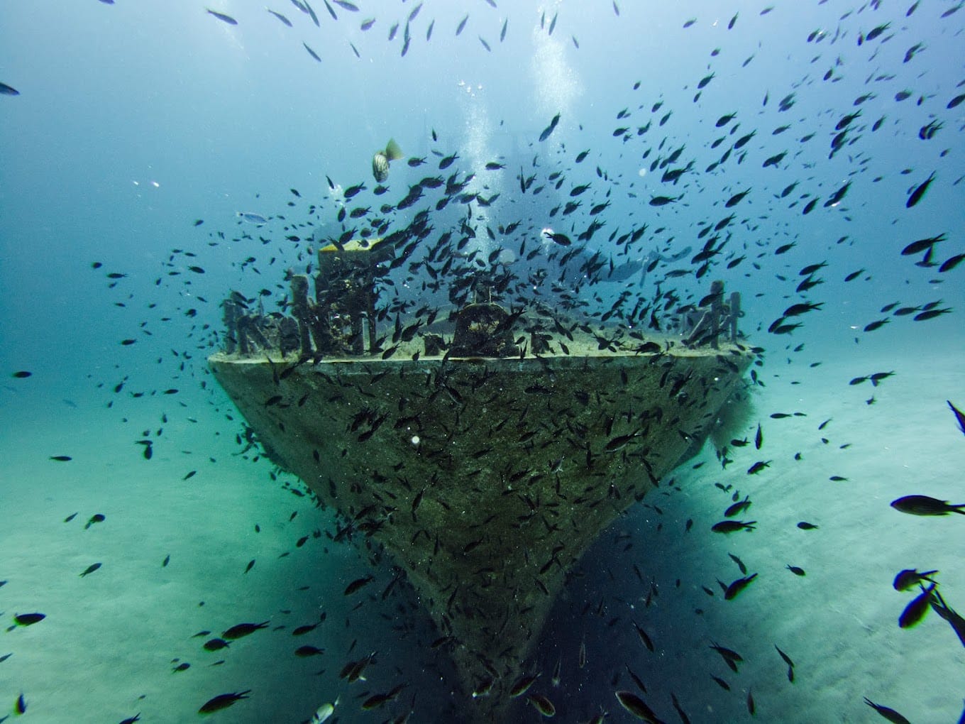 Abyss Diving Club - scuba diving courses and guided dives in St Paul's Bay, photo 3