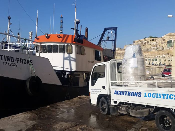 Agritrans Logistics - malta to sicily freight forwarder in Siġġiewi, photo 4
