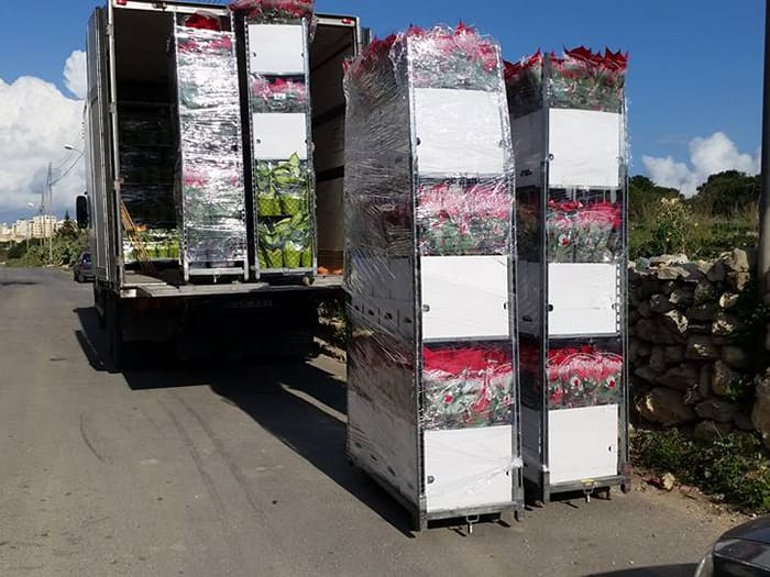 Agritrans Logistics - malta to sicily freight forwarder in Siġġiewi, photo 6