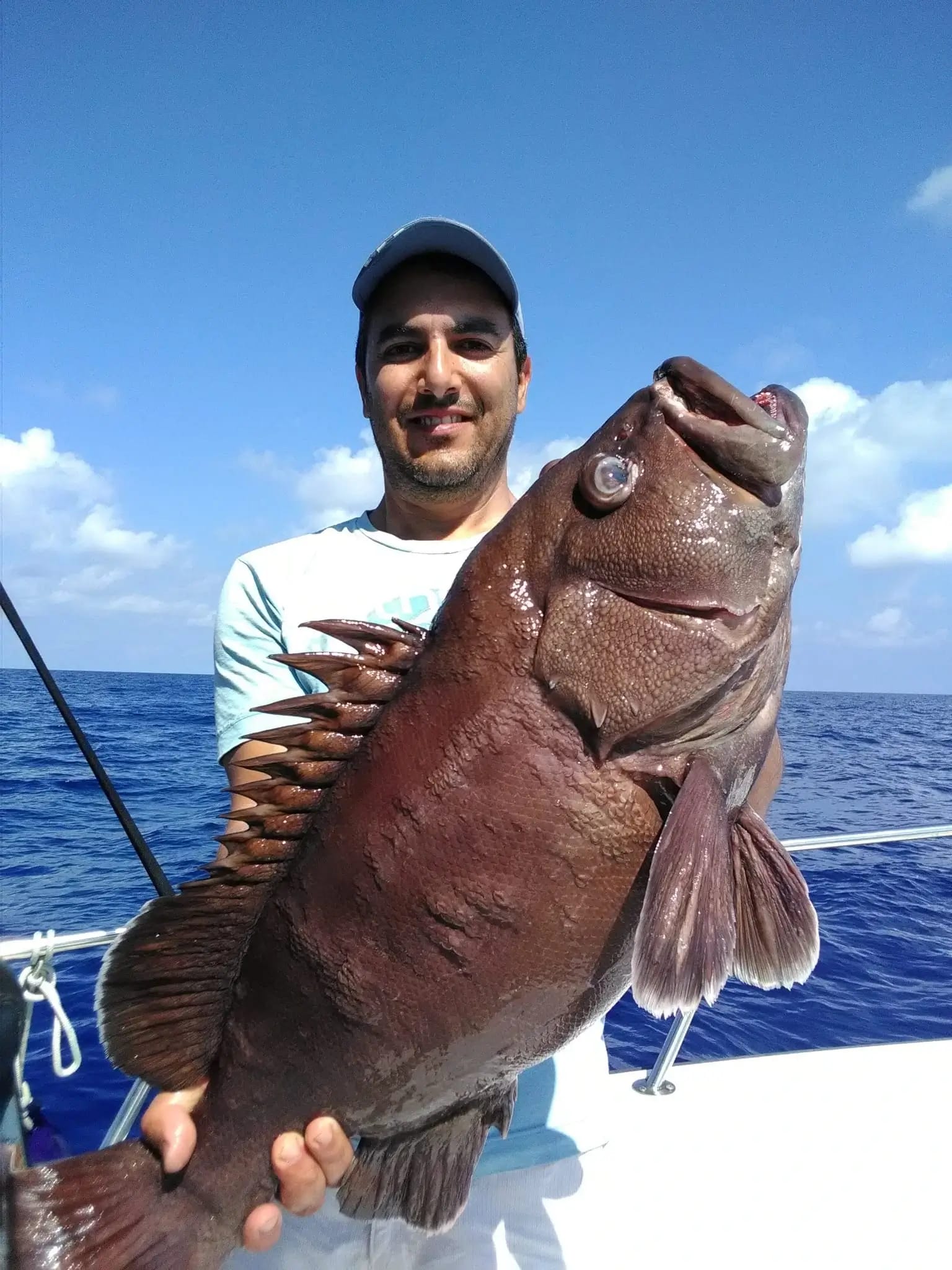 Aloha Boat Charters Malta - private boat charters from gozo in Għajnsielem, photo 13