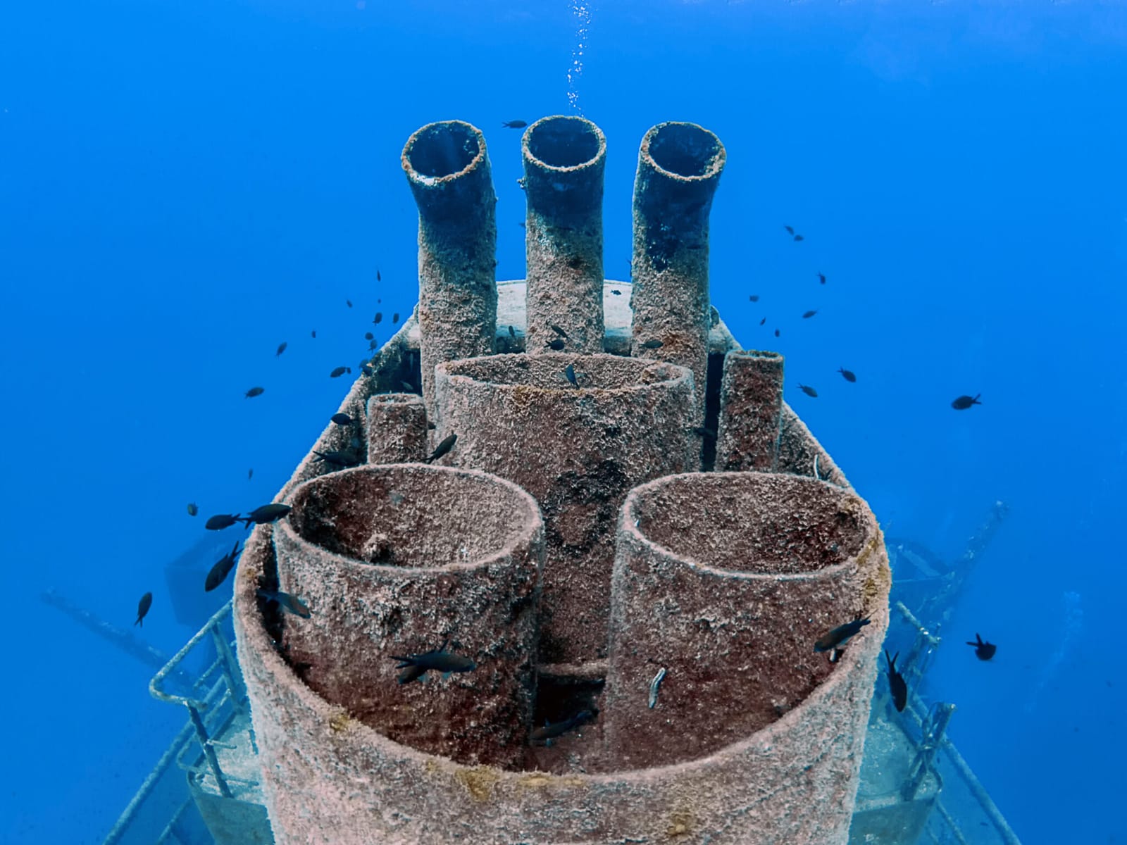 Aquatica - dive centre, courses and dive packages in St Paul's Bay, photo 10