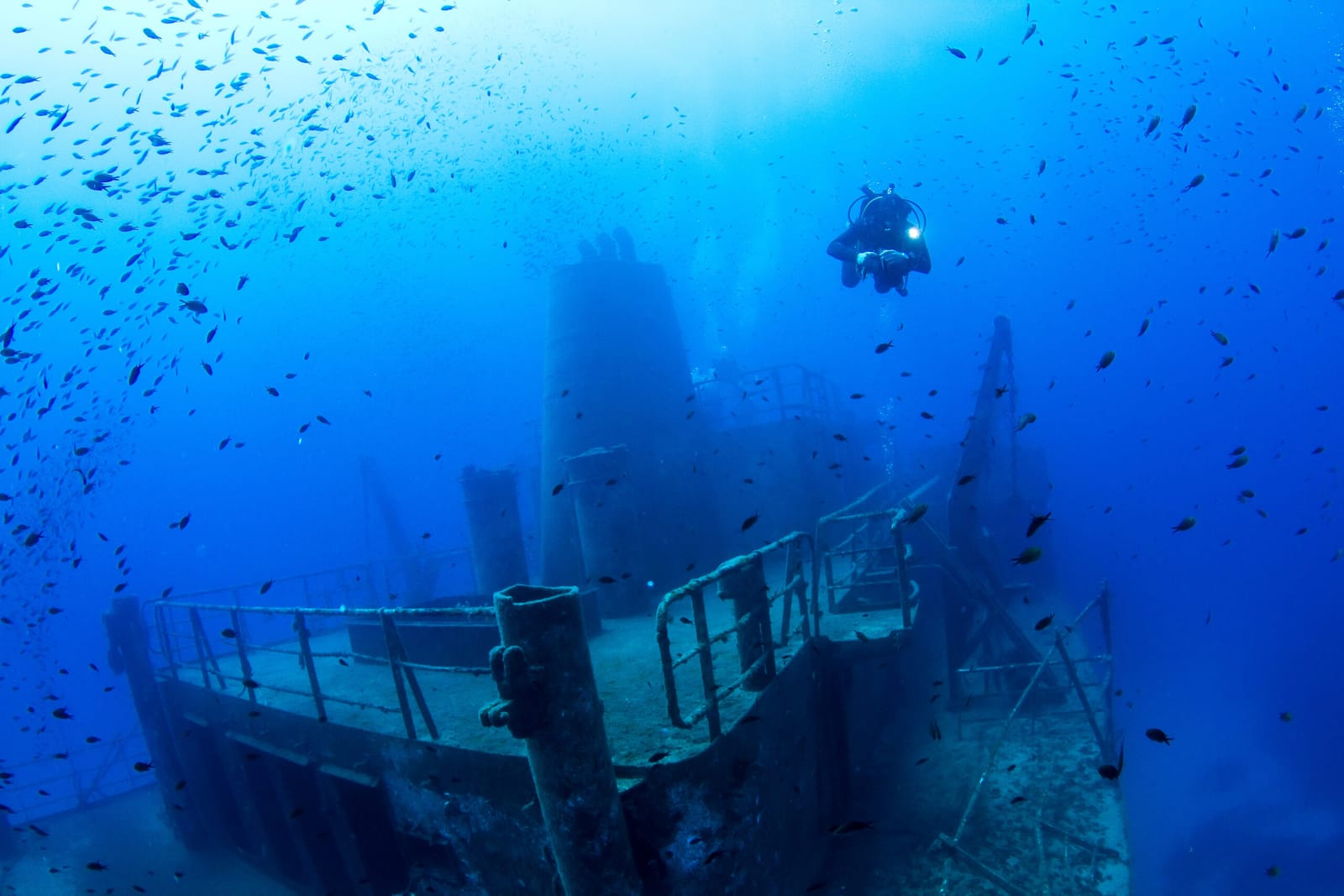 Aquatica - dive centre, courses and dive packages in St Paul's Bay, photo 2