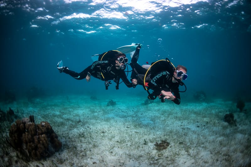Aquatica - dive centre, courses and dive packages in St Paul's Bay, photo 6