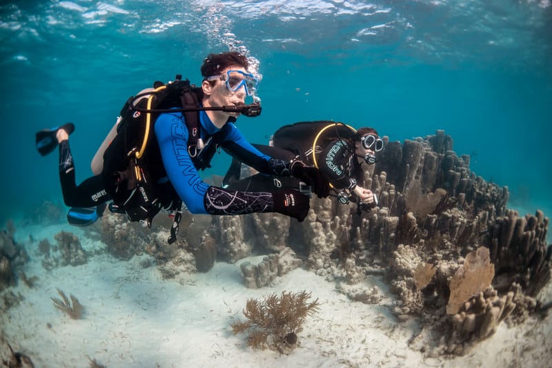 Aquatica - dive centre, courses and dive packages in St Paul's Bay, photo 7