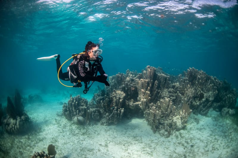 Aquatica - dive centre, courses and dive packages in St Paul's Bay, photo 9