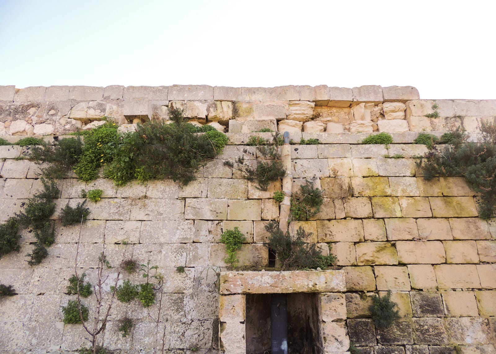 Architecture XV - architects and heritage conservation in Ta' Xbiex, photo 10