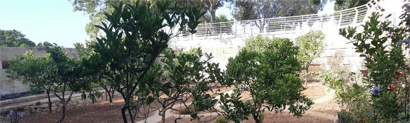 Argotti Botanic Gardens & Resource Centre - university botanic garden in floriana in Floriana, photo 1