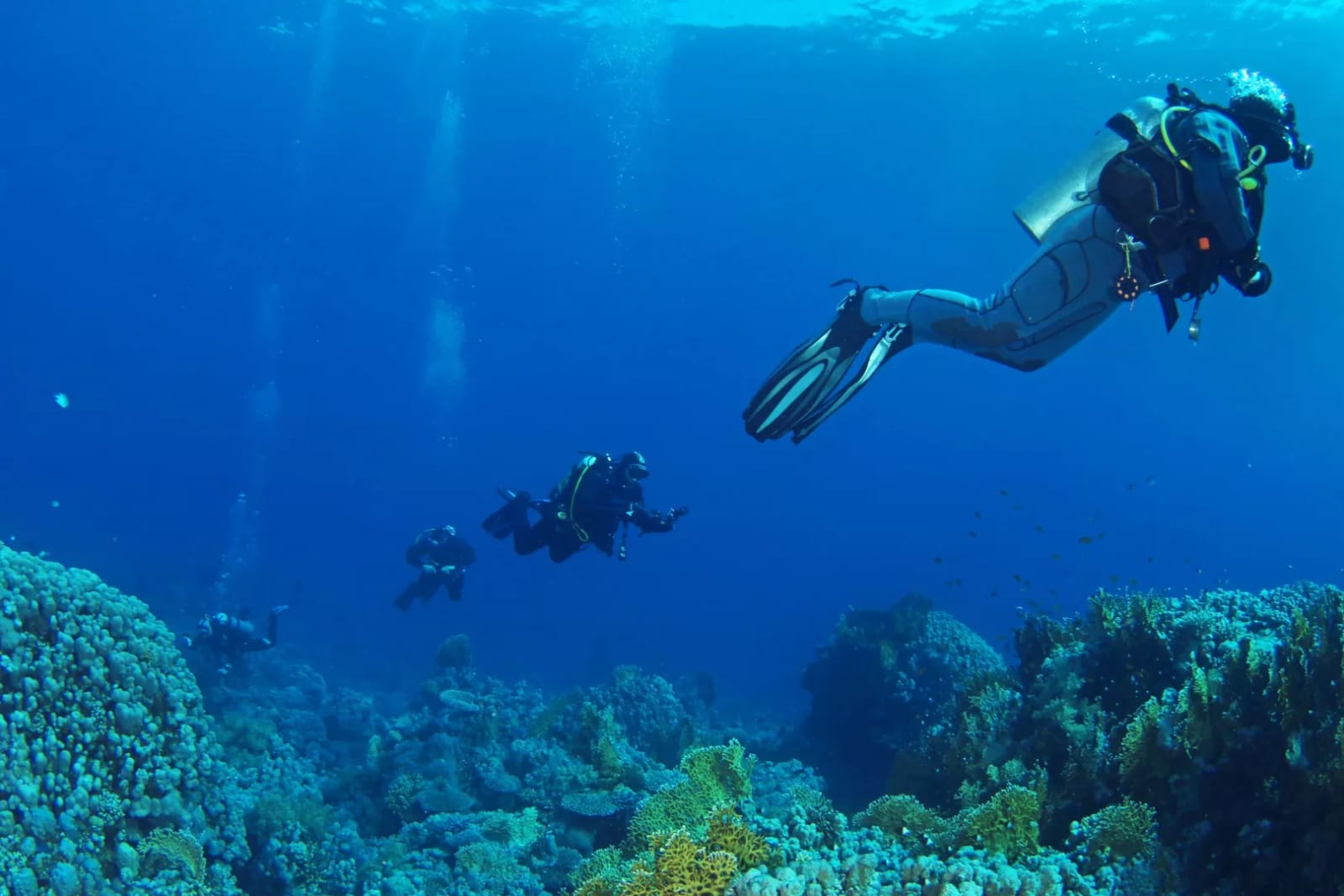 Bezz Diving - small group scuba diving and courses in Mellieħa, photo 1