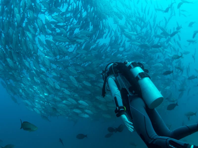 Bezz Diving - small group scuba diving and courses in Mellieħa, photo 2