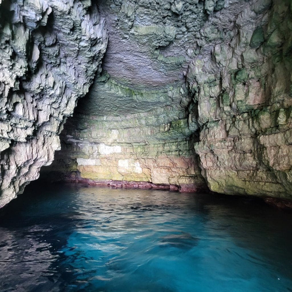 Blue Horizon Boat Trips - private and shared boat trips in Mellieħa, photo 10