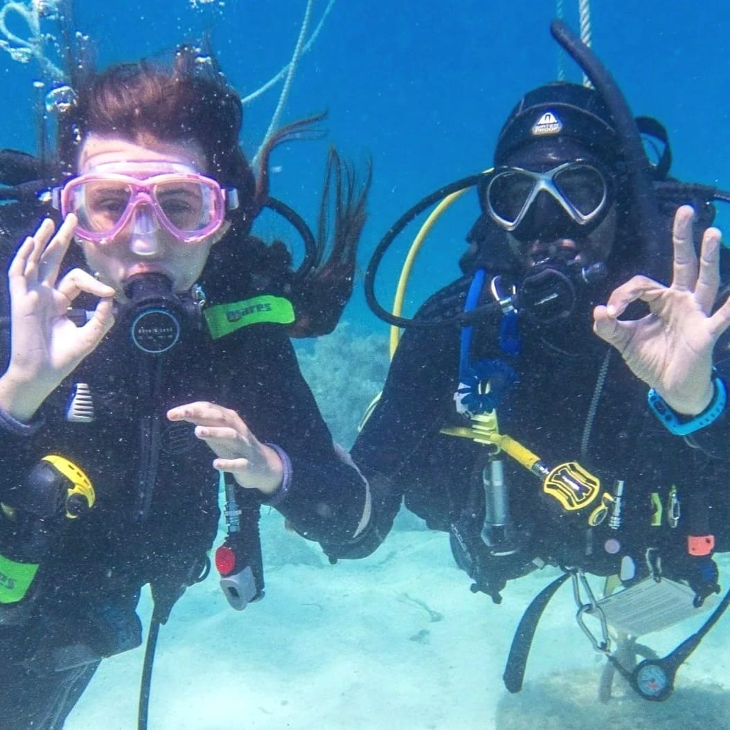 Blue Waters Dive Cove - padi dive centre in gozo in Qala, photo 11