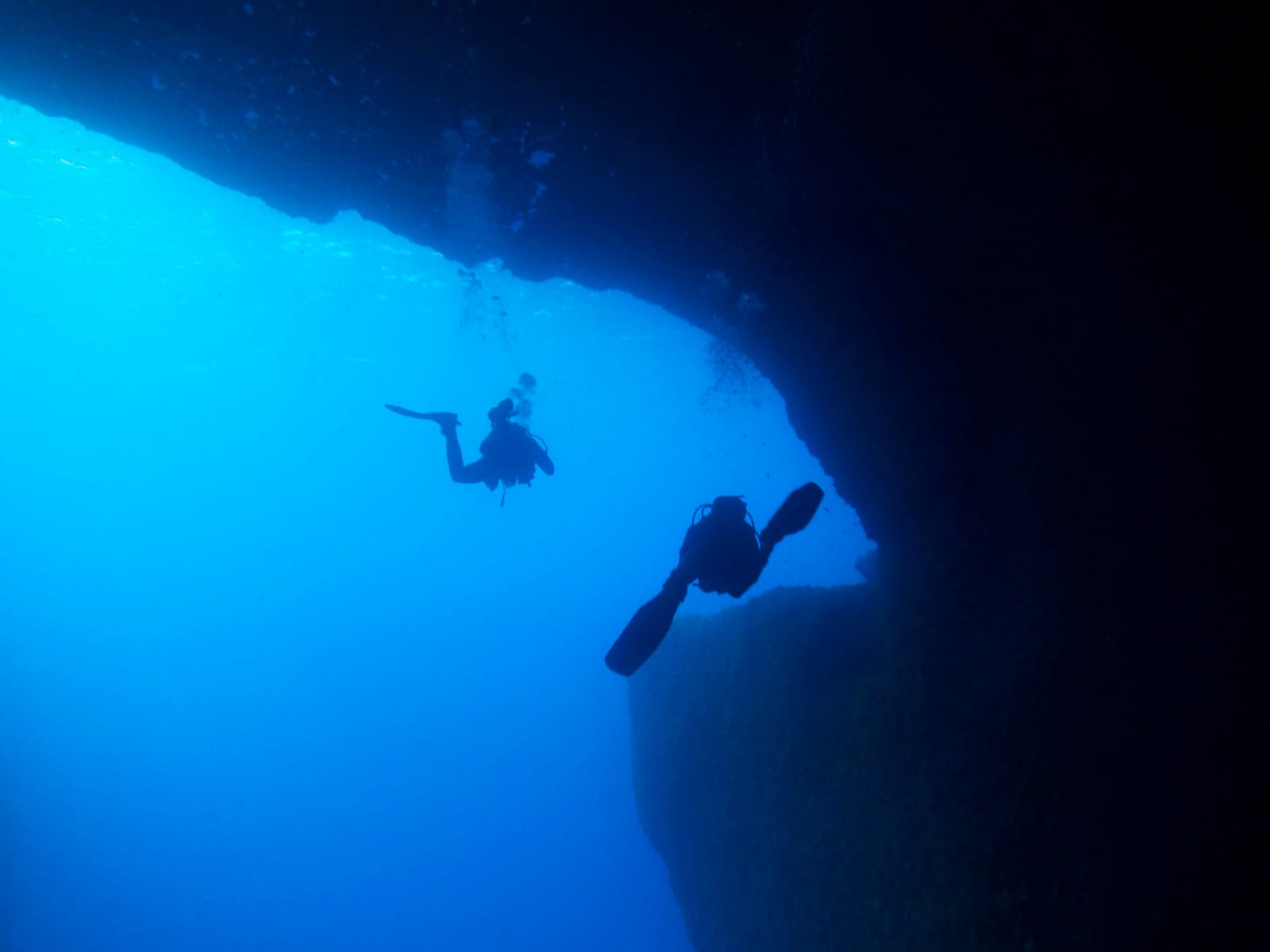 Blue Waters Dive Cove - padi dive centre in gozo in Qala, photo 13
