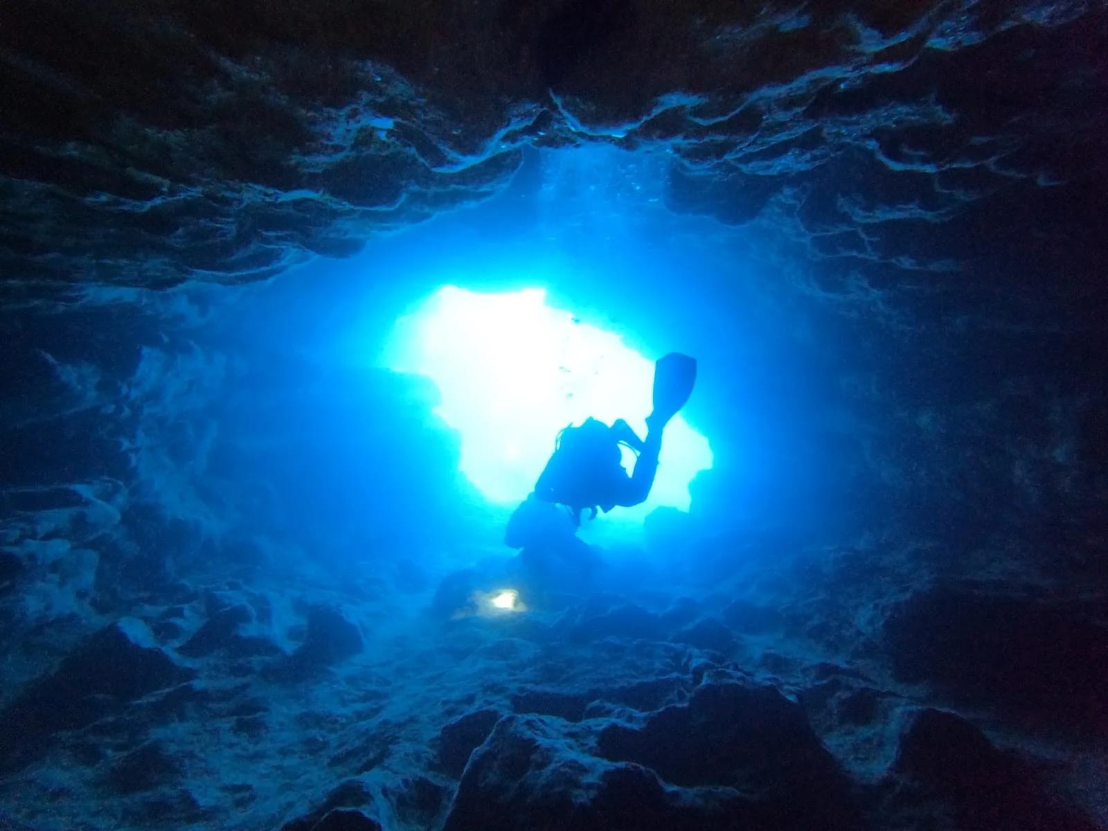 Blue Waters Dive Cove - padi dive centre in gozo in Qala, photo 14