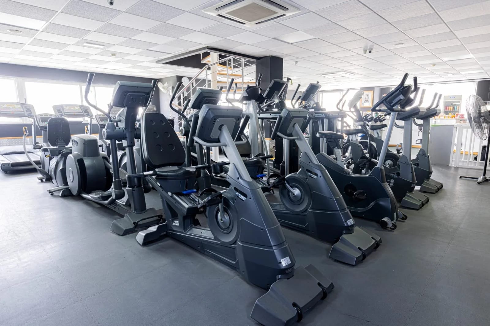 Body Medics Fitness Club 24/7 - 24 hour gym with personal training in Żejtun, photo 12