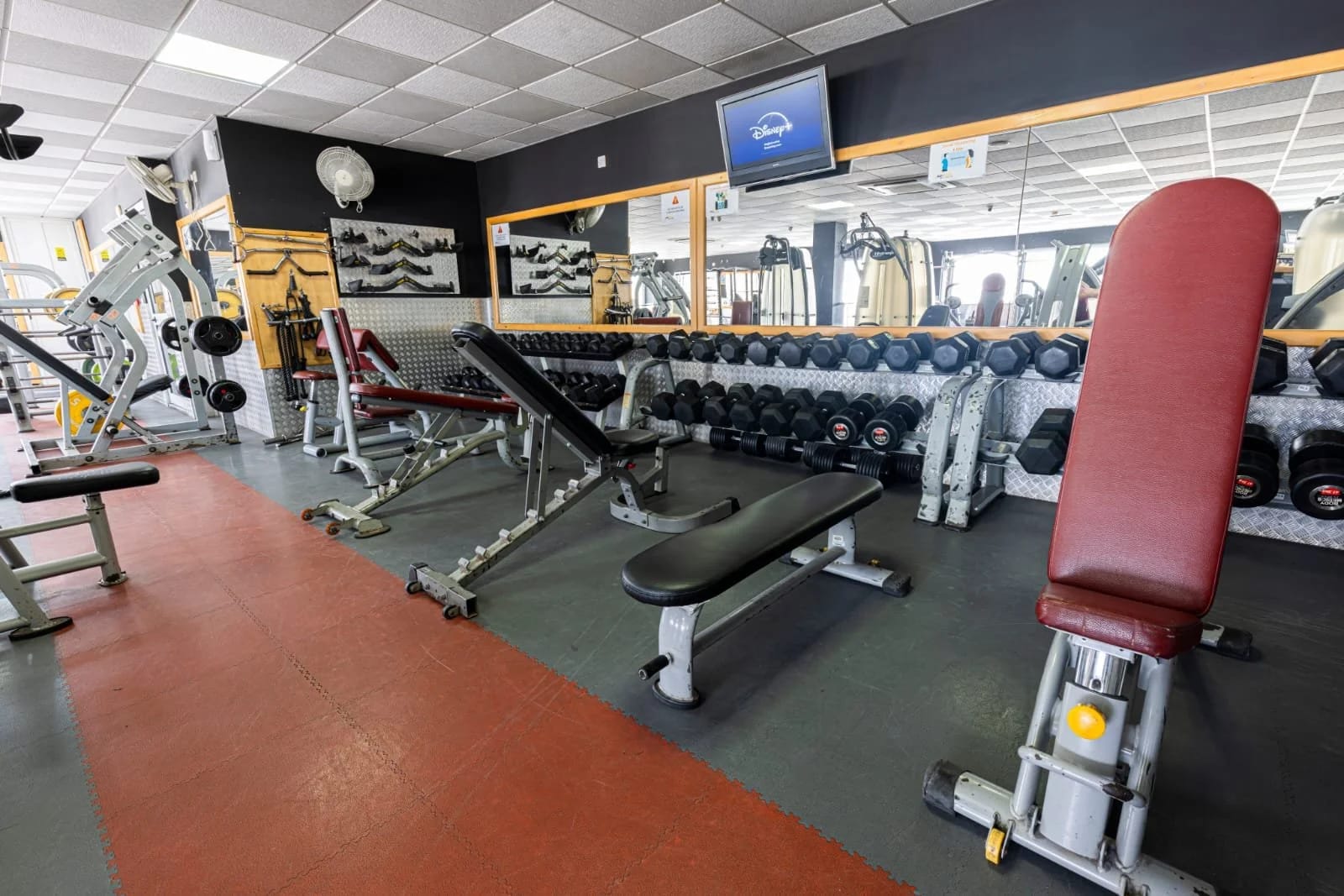 Body Medics Fitness Club 24/7 - 24 hour gym with personal training in Żejtun, photo 3