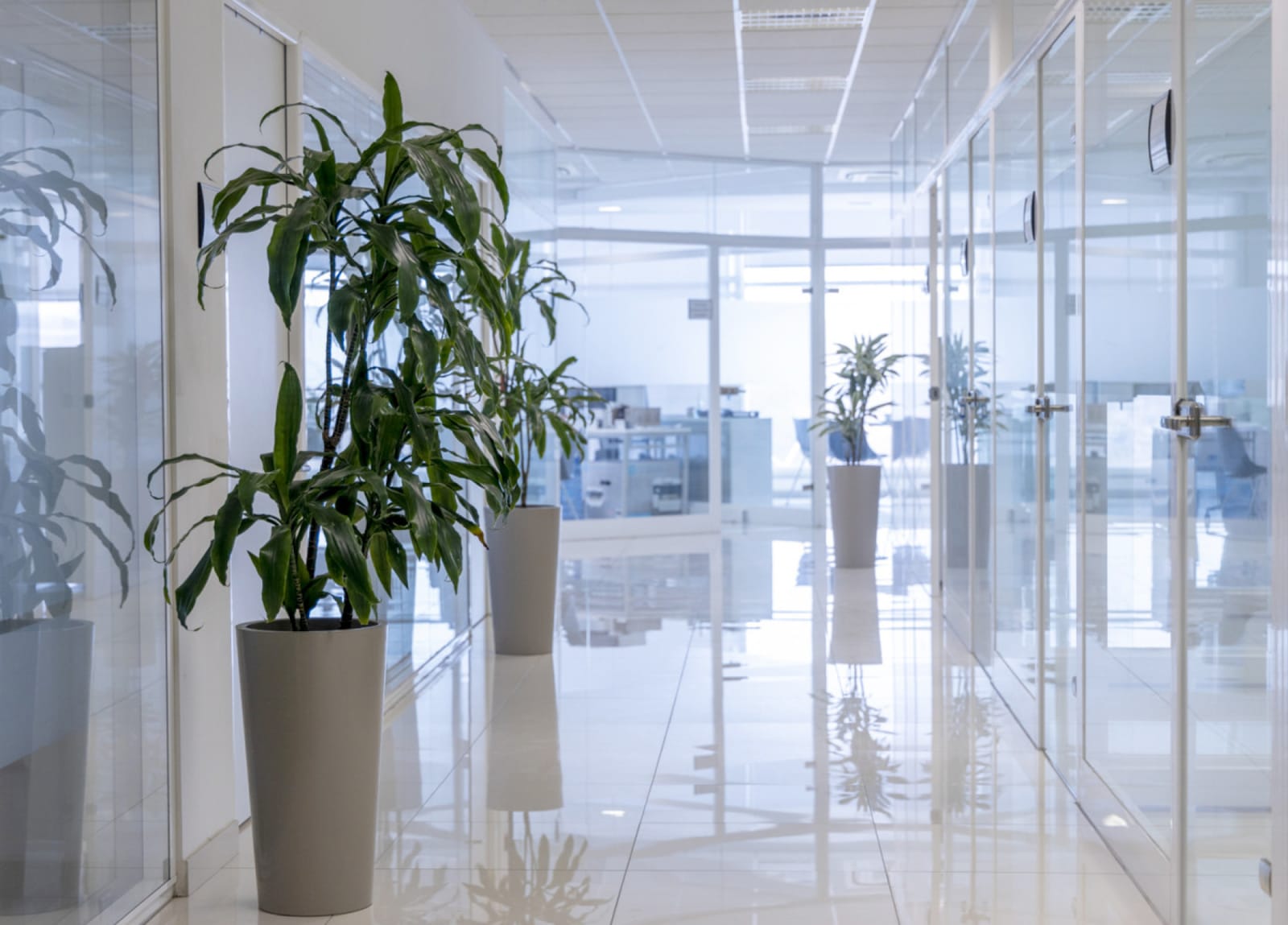 Business Office Services - serviced offices and meeting rooms in Birkirkara, photo 2