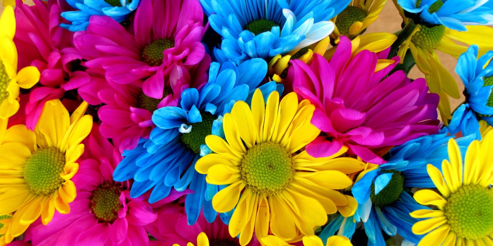 Carabott Florist - family florist and flower delivery in Għaxaq, photo 7