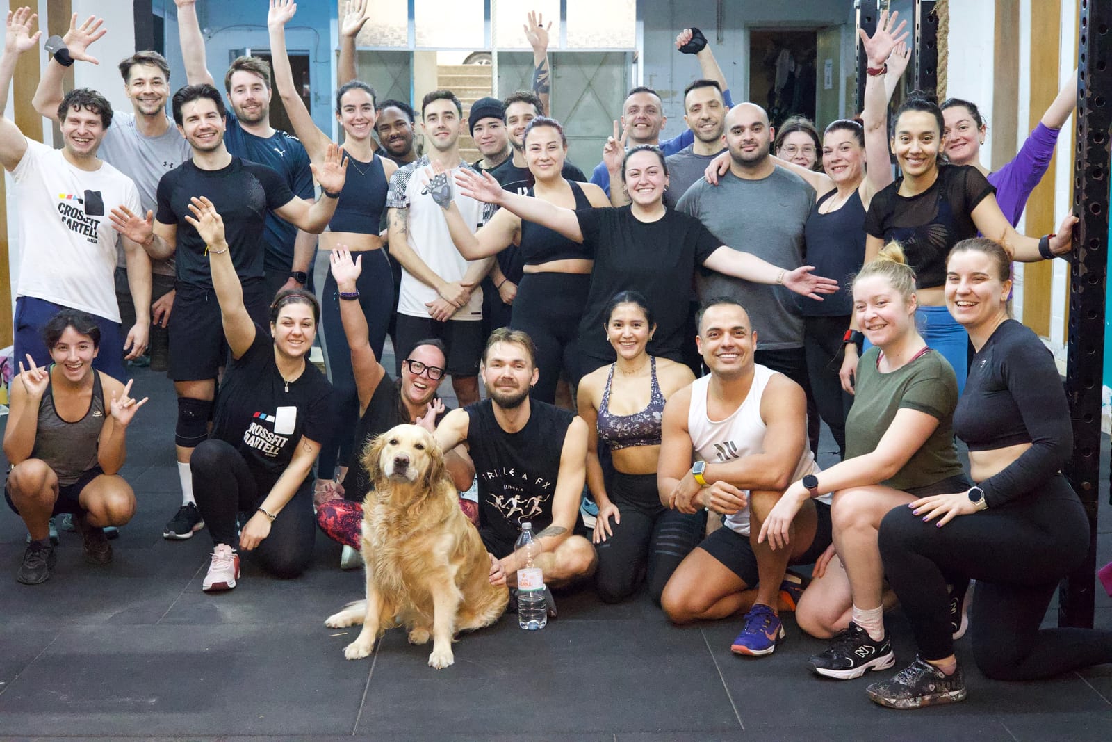 CrossFit Martell - beginner-friendly crossfit gym in Gżira, photo 2
