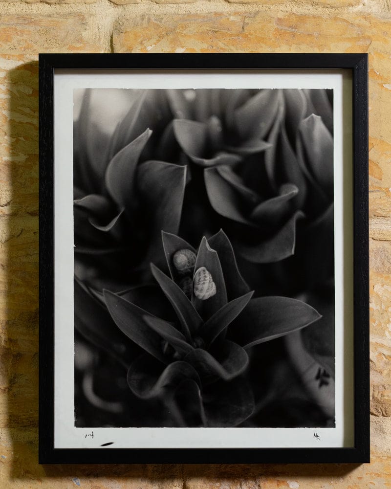 Darkroom Malta - analogue photography studio and shop in Żurrieq, photo 4