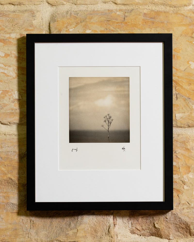 Darkroom Malta - analogue photography studio and shop in Żurrieq, photo 5