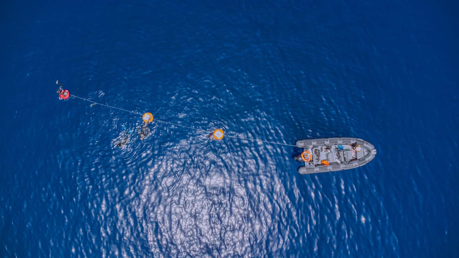 Deep Med - freediving school in gozo in Xagħra, photo 17