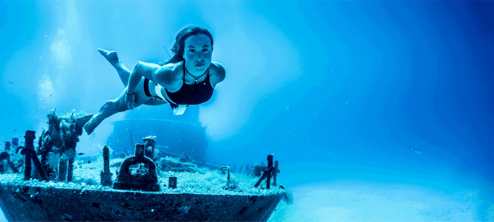 Deep Med - freediving school in gozo in Xagħra, photo 3