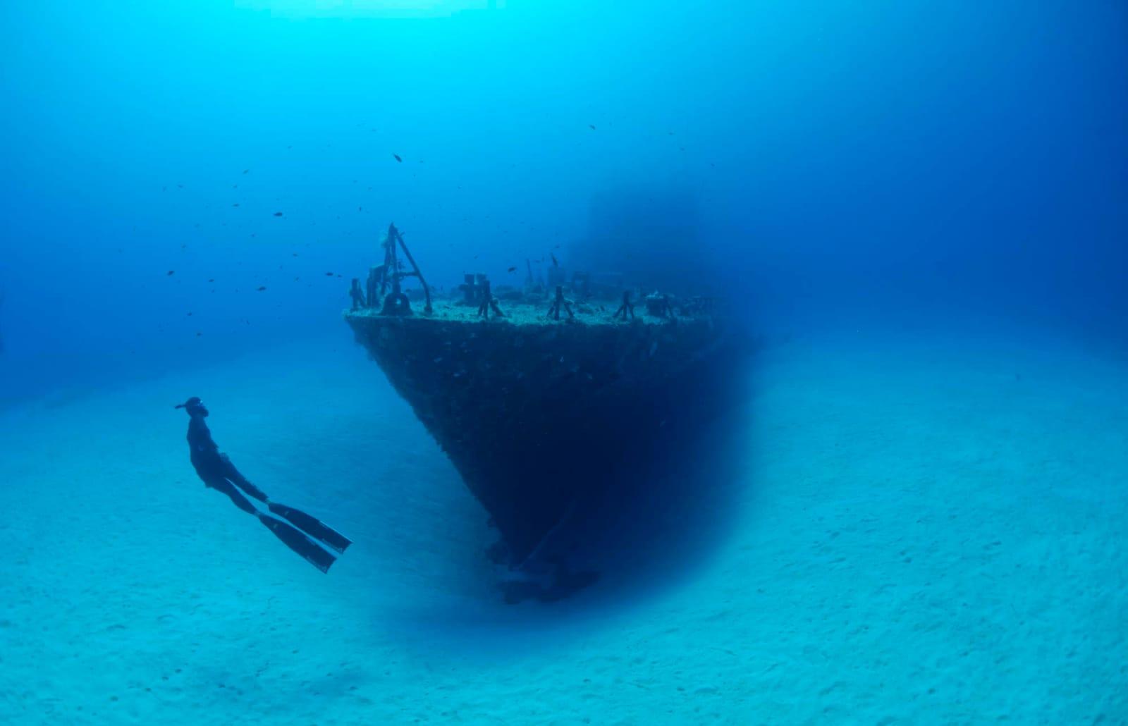 Deep Med - freediving school in gozo in Xagħra, photo 9