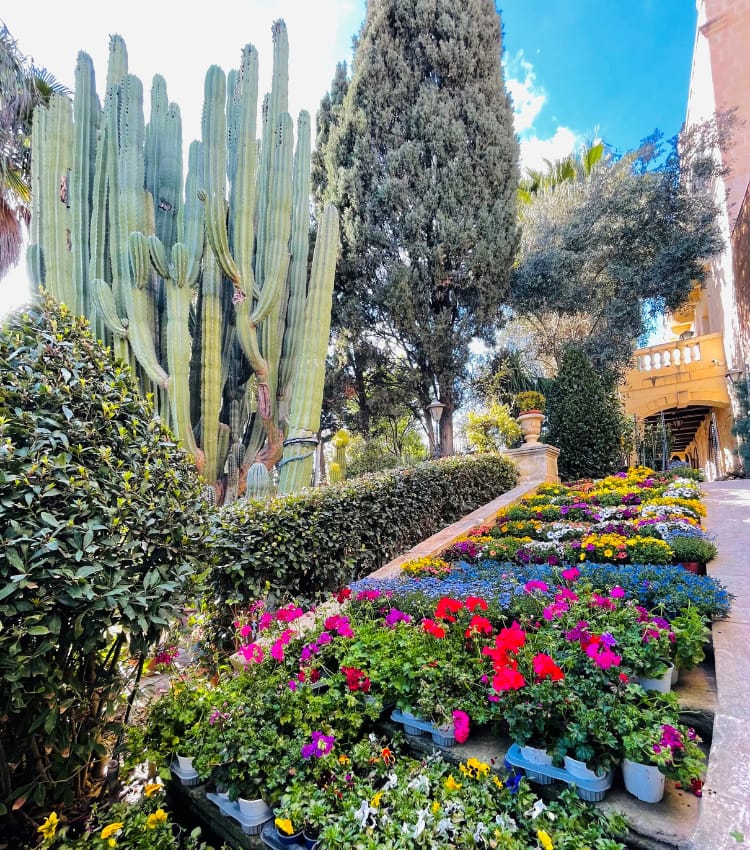 Derek Garden Centre - garden centre and landscaping contractors in Qormi, photo 10