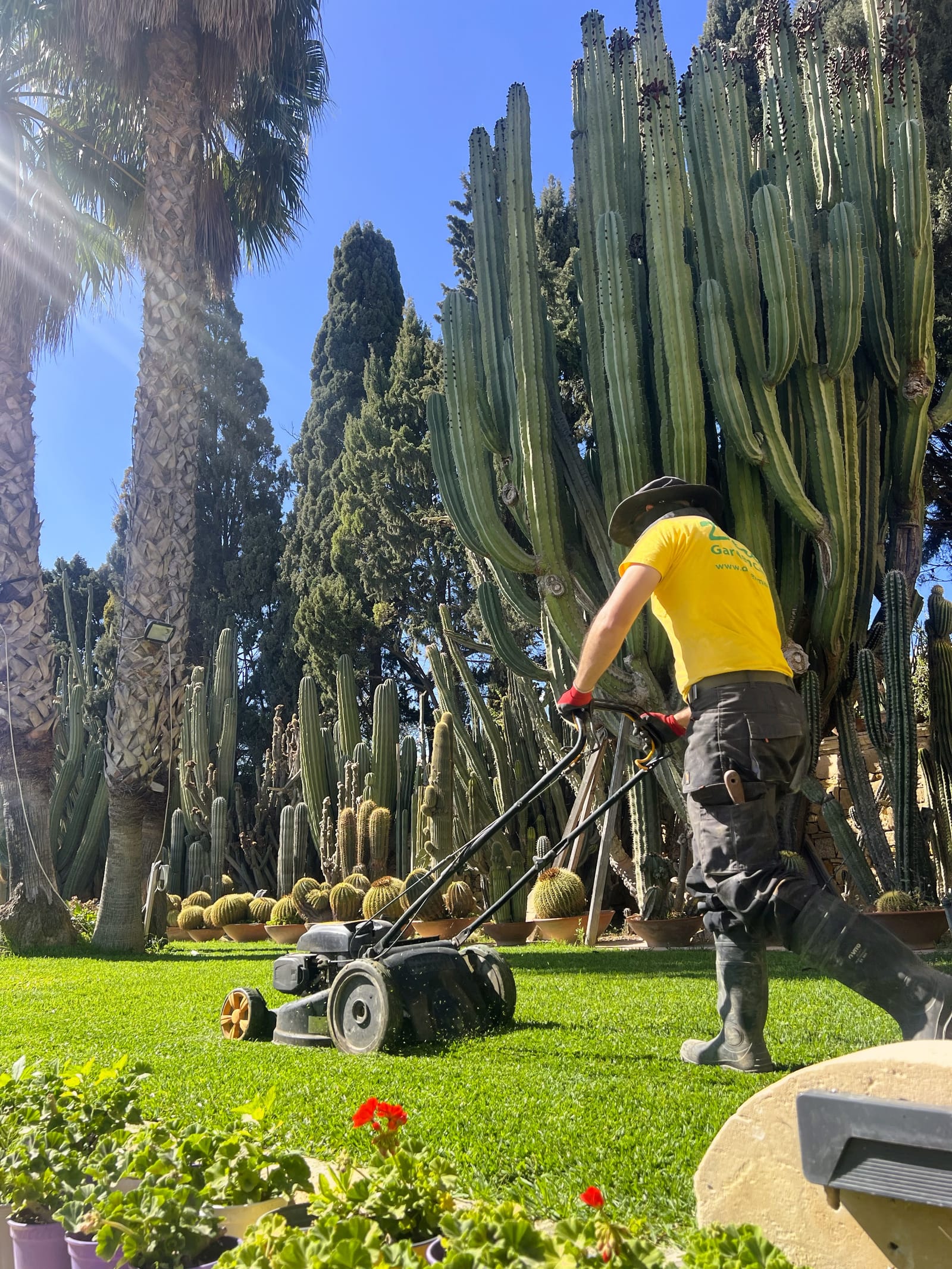 Derek Garden Centre - garden centre and landscaping contractors in Qormi, photo 11