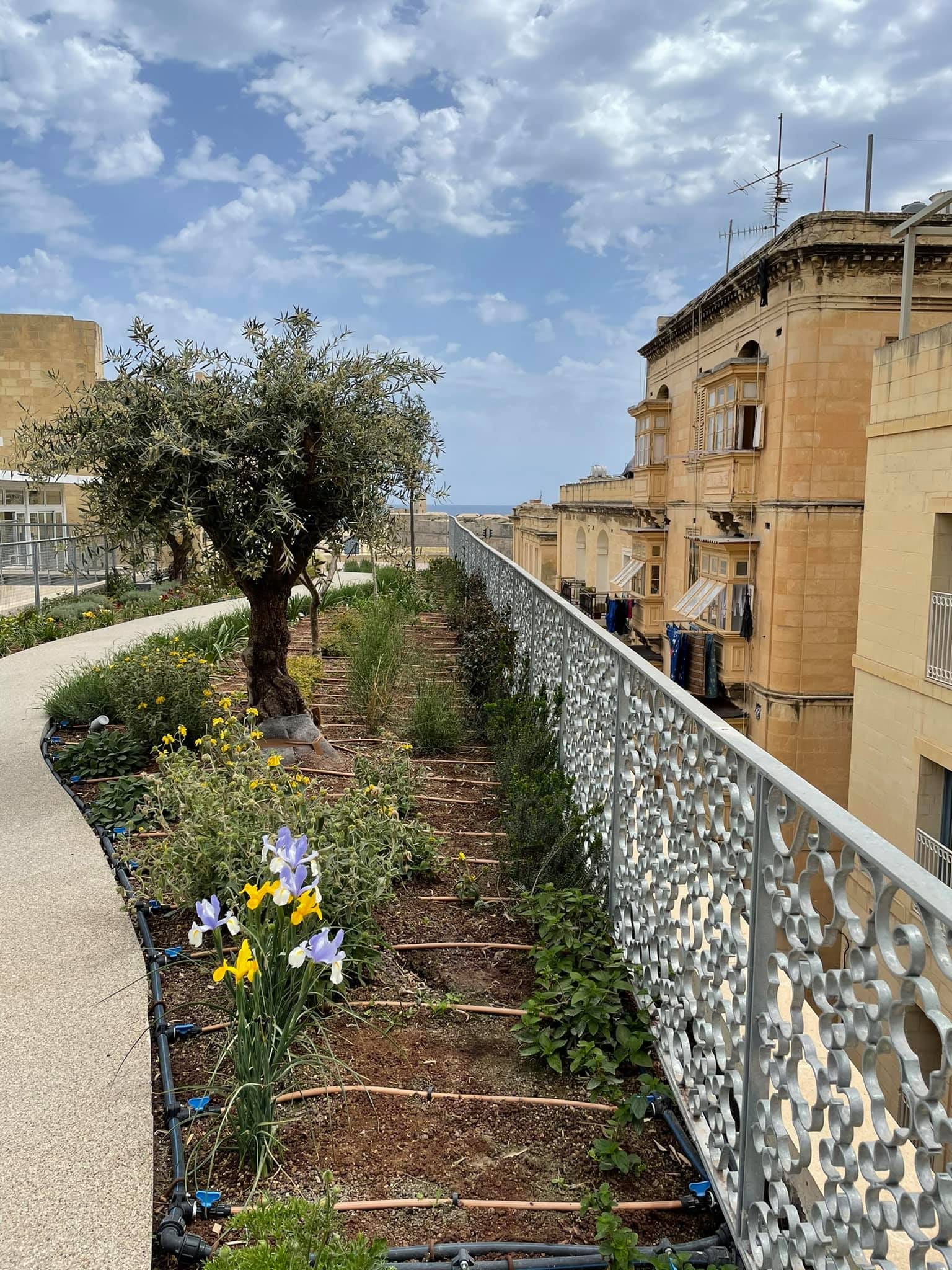 Derek Garden Centre - garden centre and landscaping contractors in Qormi, photo 3