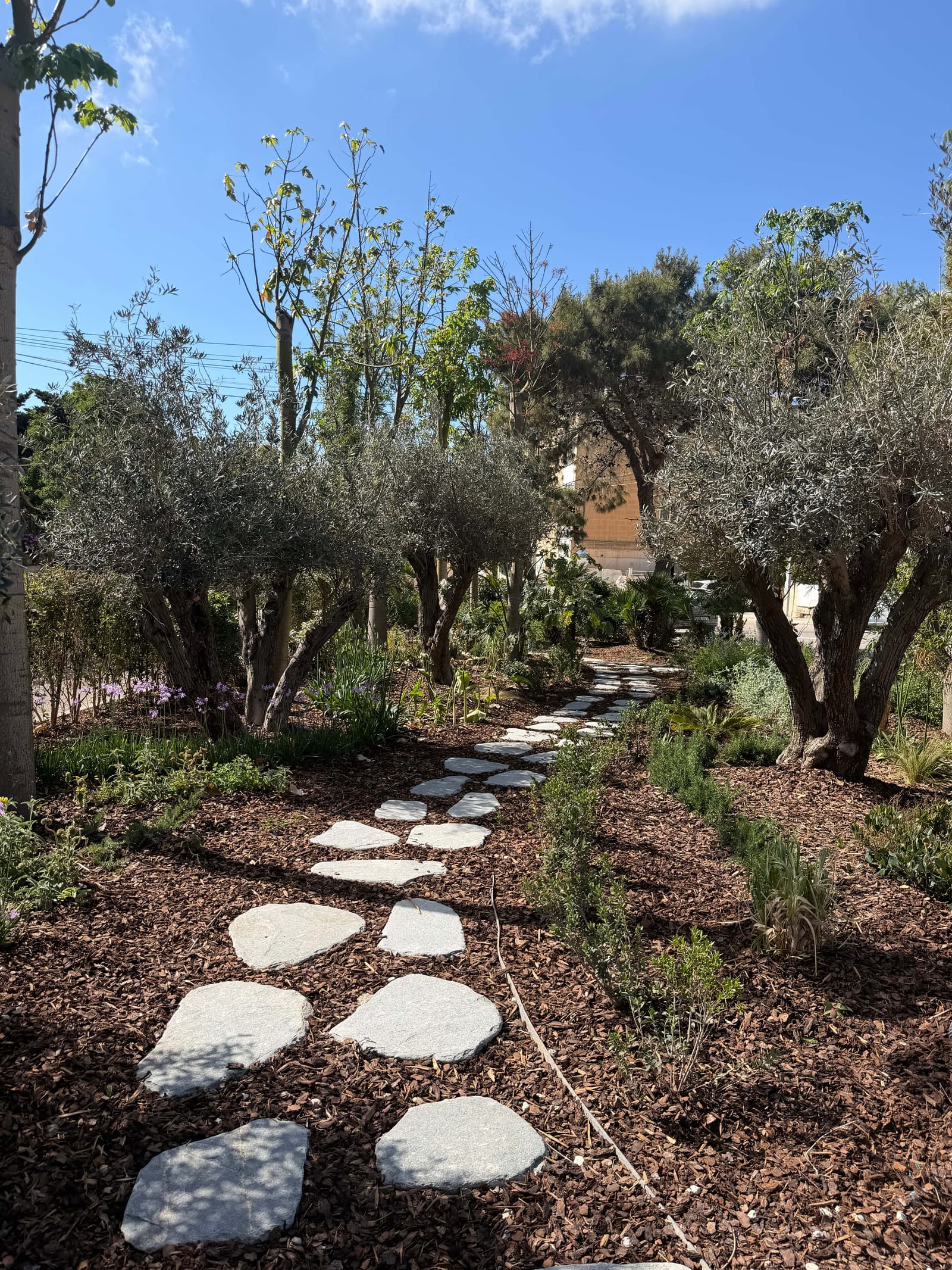 Derek Garden Centre - garden centre and landscaping contractors in Qormi, photo 5