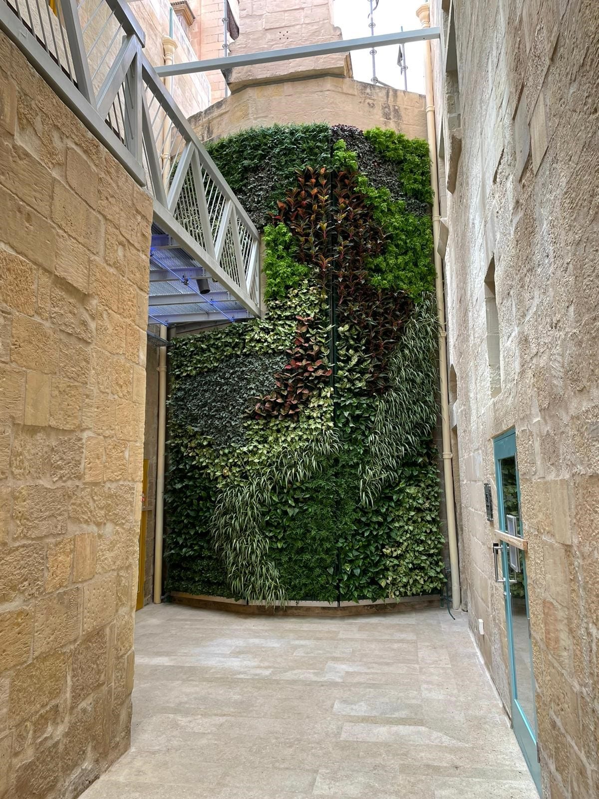 Derek Garden Centre - garden centre and landscaping contractors in Qormi, photo 6