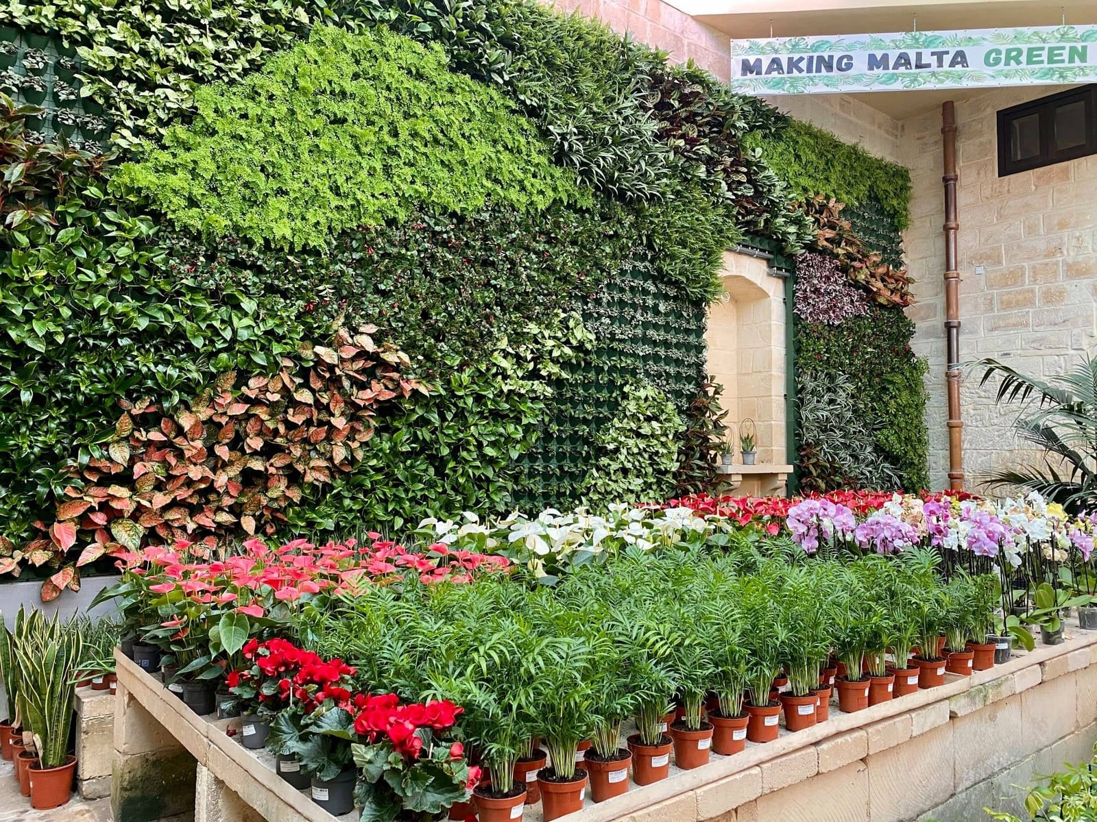 Derek Garden Centre - garden centre and landscaping contractors in Qormi, photo 7