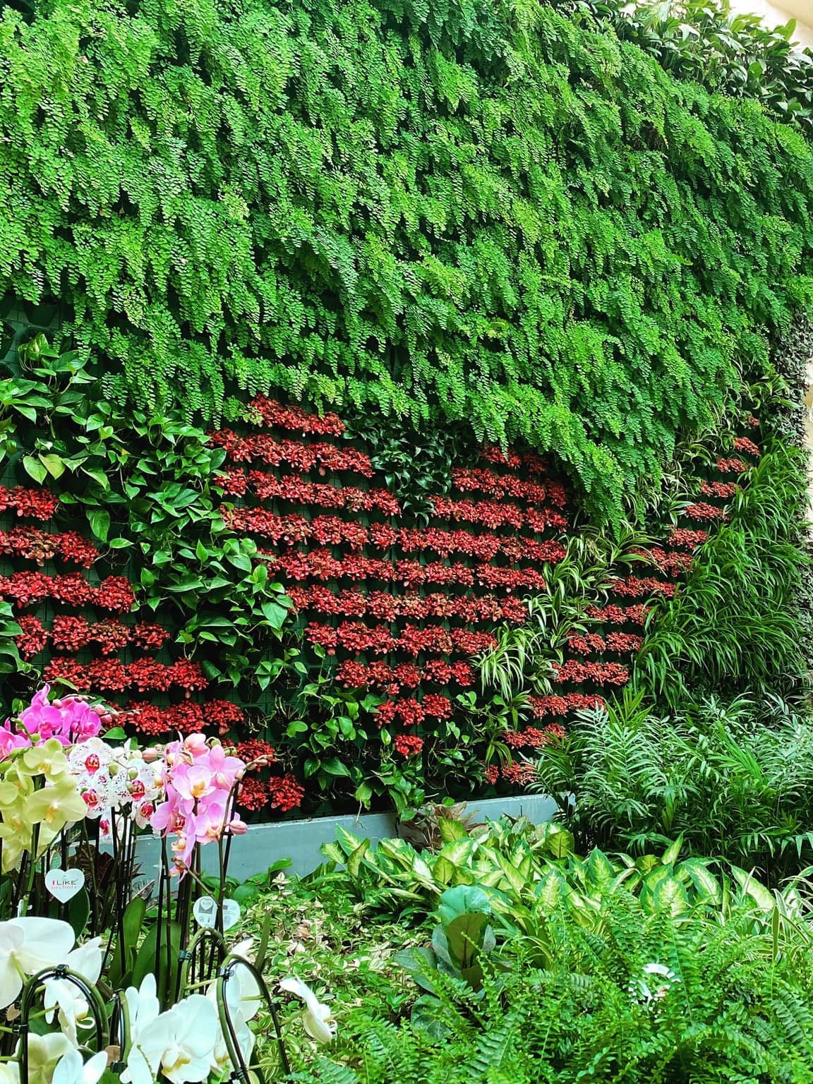 Derek Garden Centre - garden centre and landscaping contractors in Qormi, photo 8