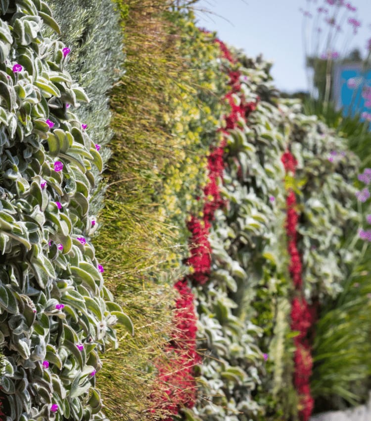 Derek Garden Centre - garden centre and landscaping contractors in Qormi, photo 9
