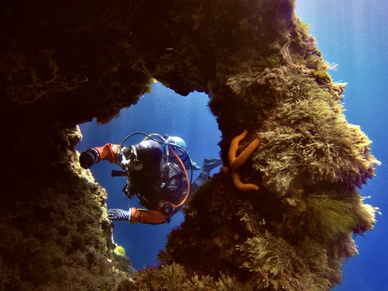 Dive Deep Blue by ABC Diving - padi dive centre and diving courses in St Paul's Bay, photo 10