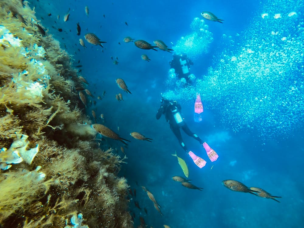 Dive Deep Blue by ABC Diving - padi dive centre and diving courses in St Paul's Bay, photo 14