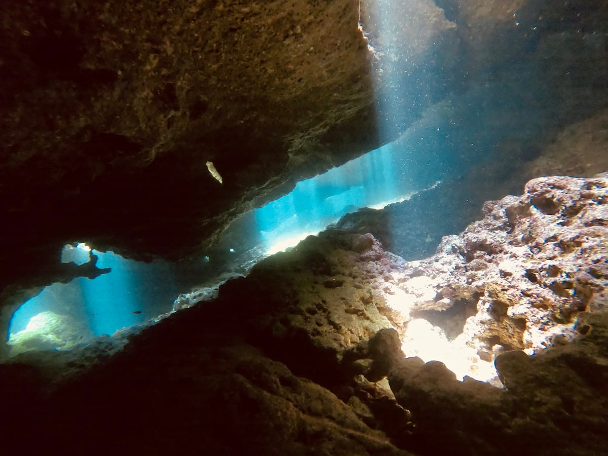 Dive Deep Blue by ABC Diving - padi dive centre and diving courses in St Paul's Bay, photo 17