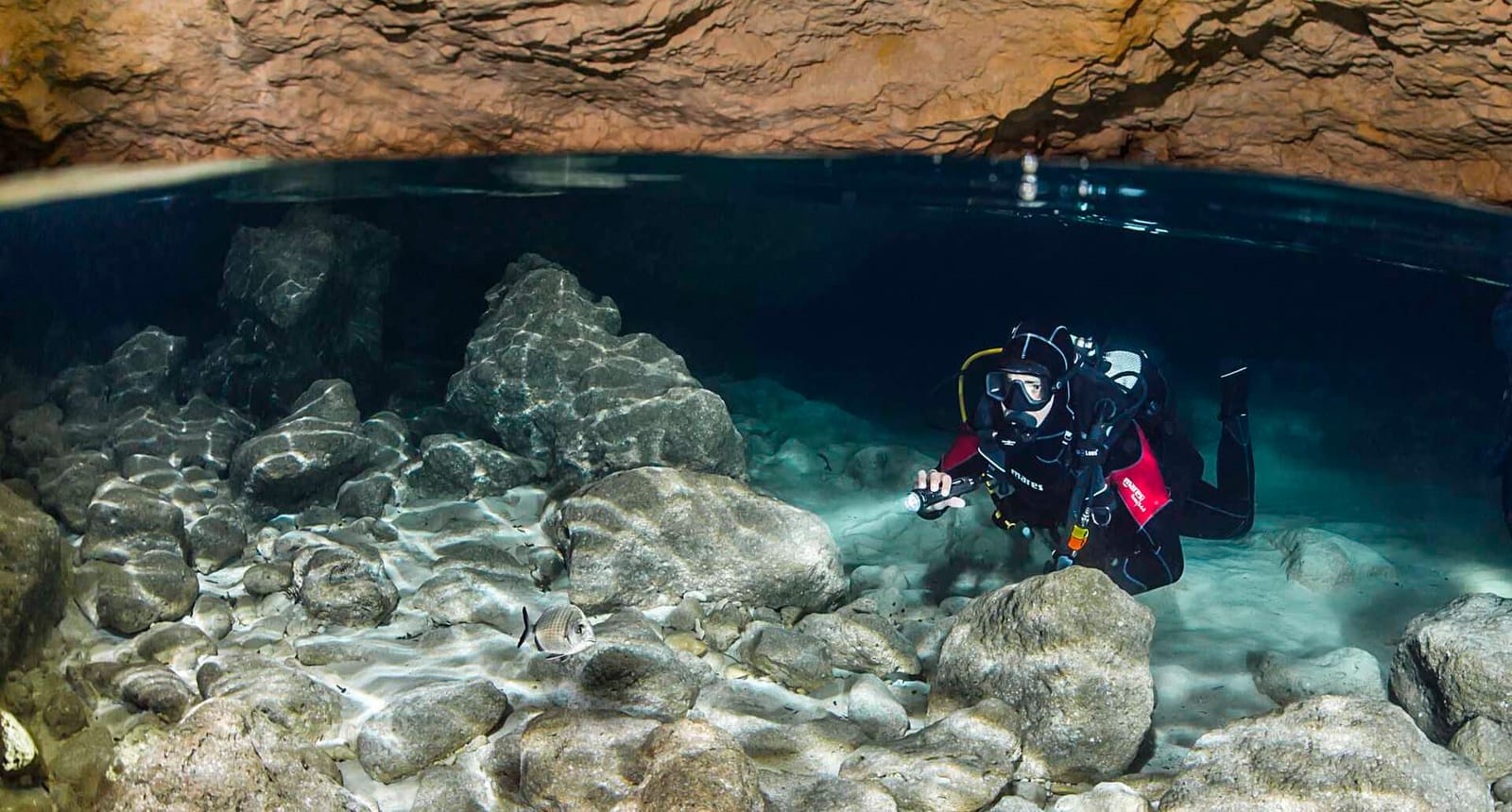 Dive Vision Malta - ssi dive centre in marfa bay in Mellieħa, photo 10
