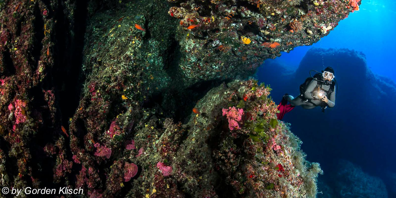 Dive Vision Malta - ssi dive centre in marfa bay in Mellieħa, photo 11