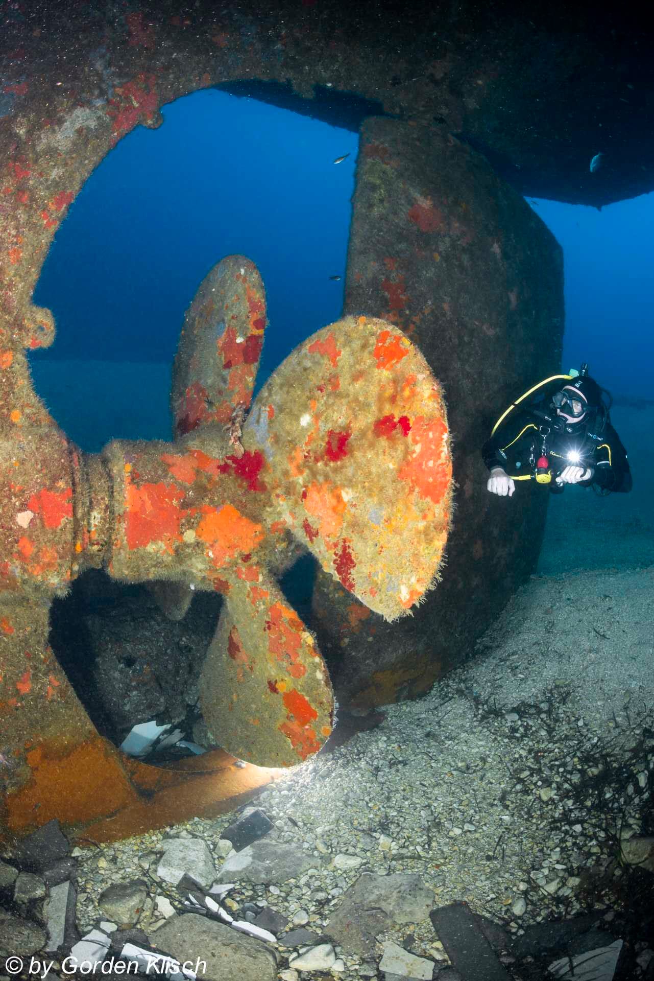 Dive Vision Malta - ssi dive centre in marfa bay in Mellieħa, photo 14