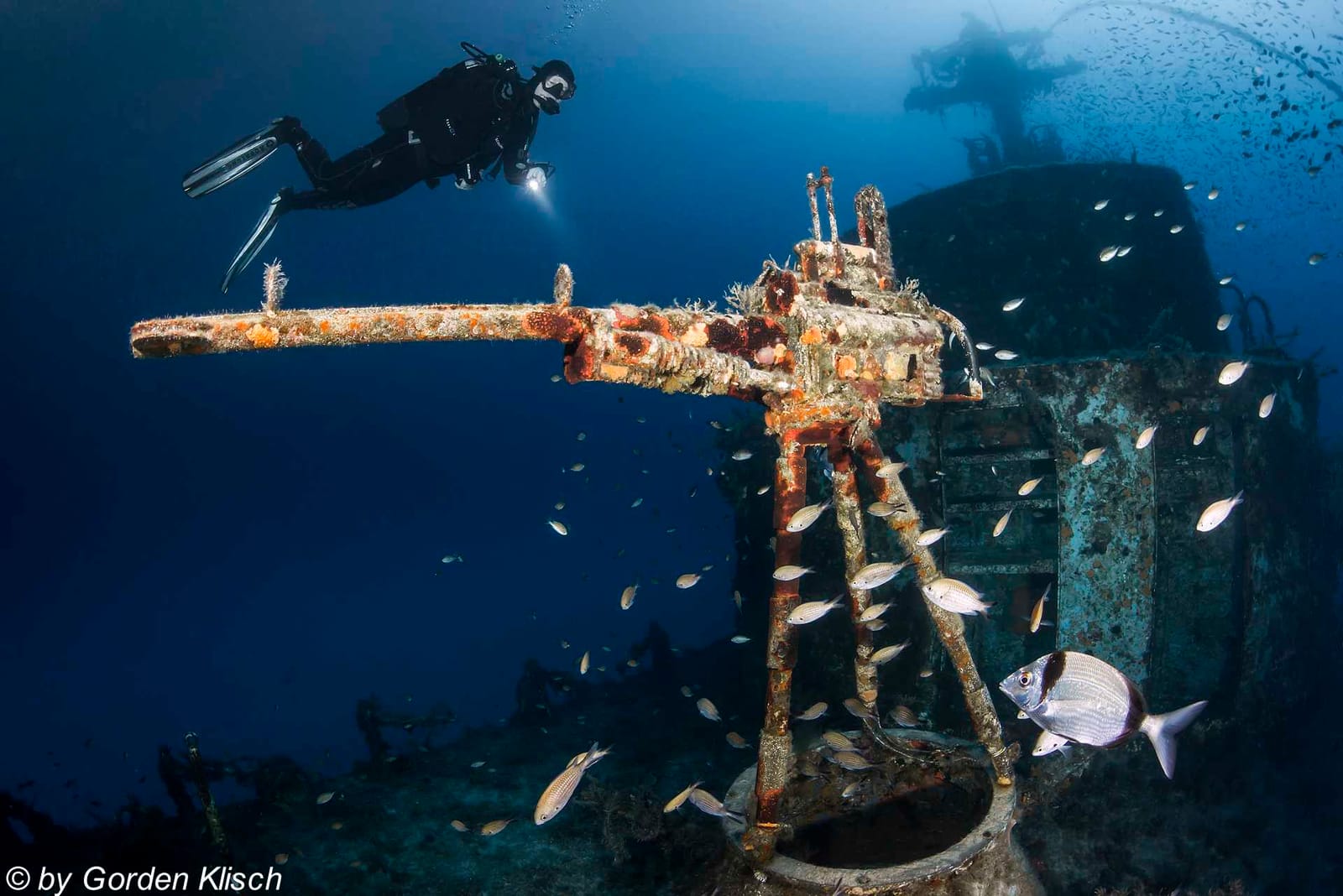Dive Vision Malta - ssi dive centre in marfa bay in Mellieħa, photo 15