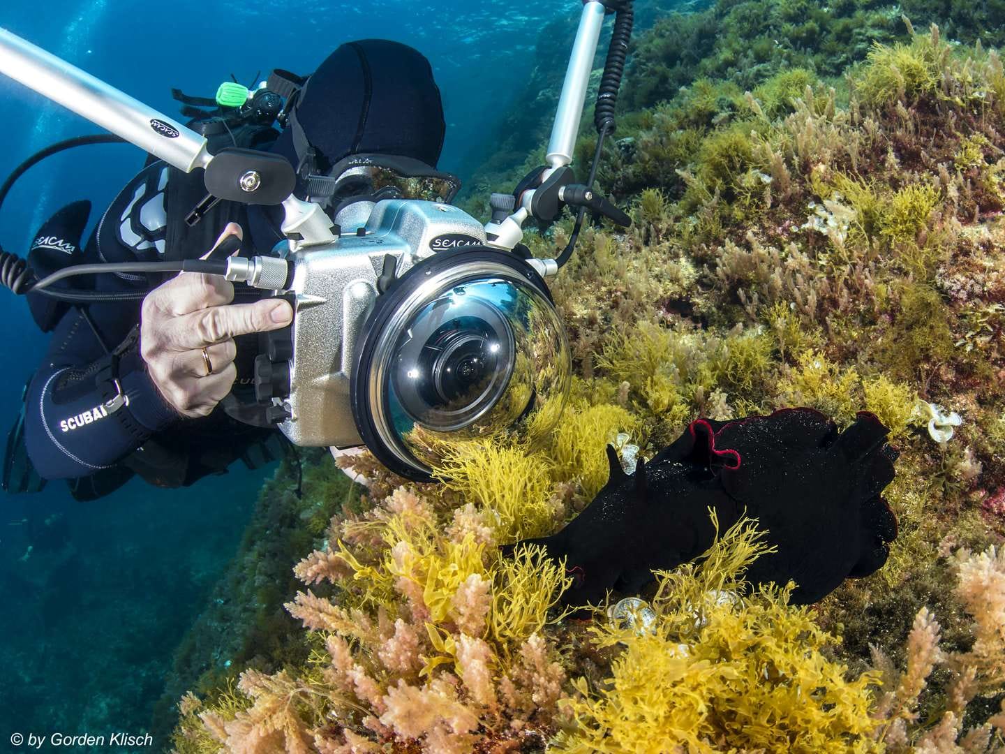 Dive Vision Malta - ssi dive centre in marfa bay in Mellieħa, photo 16