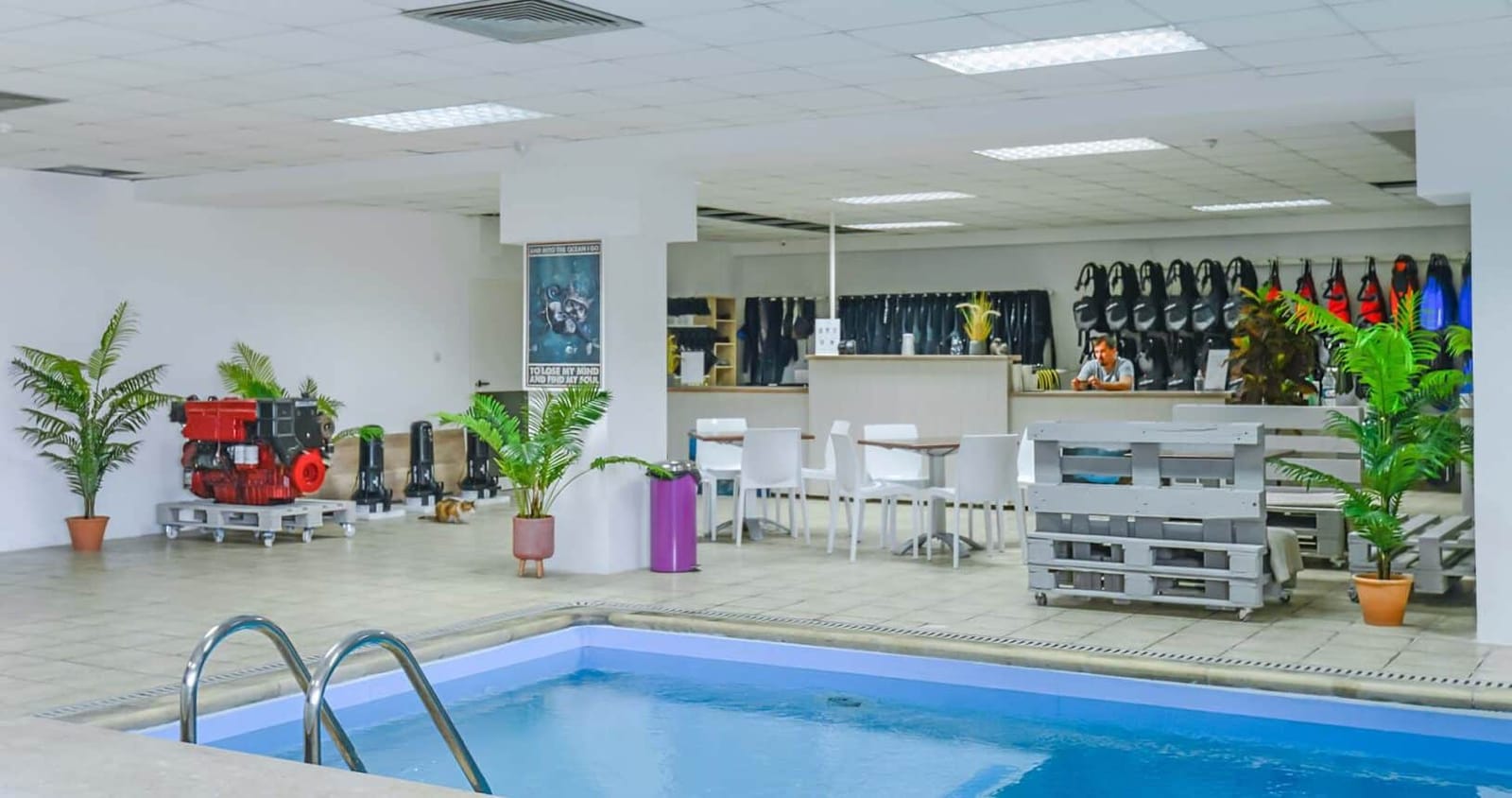 Dive Vision Malta - ssi dive centre in marfa bay in Mellieħa, photo 3