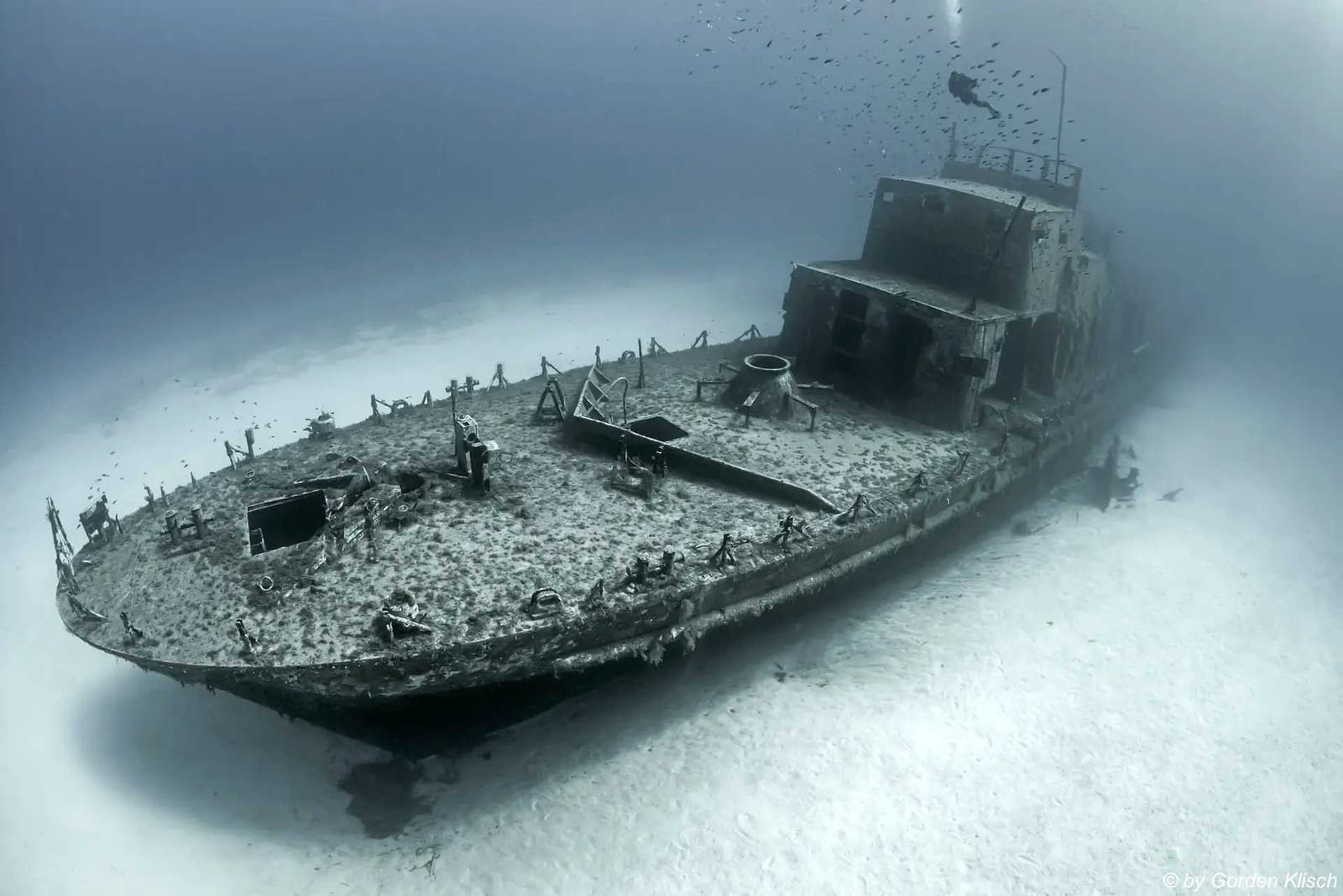 Dive Vision Malta - ssi dive centre in marfa bay in Mellieħa, photo 9