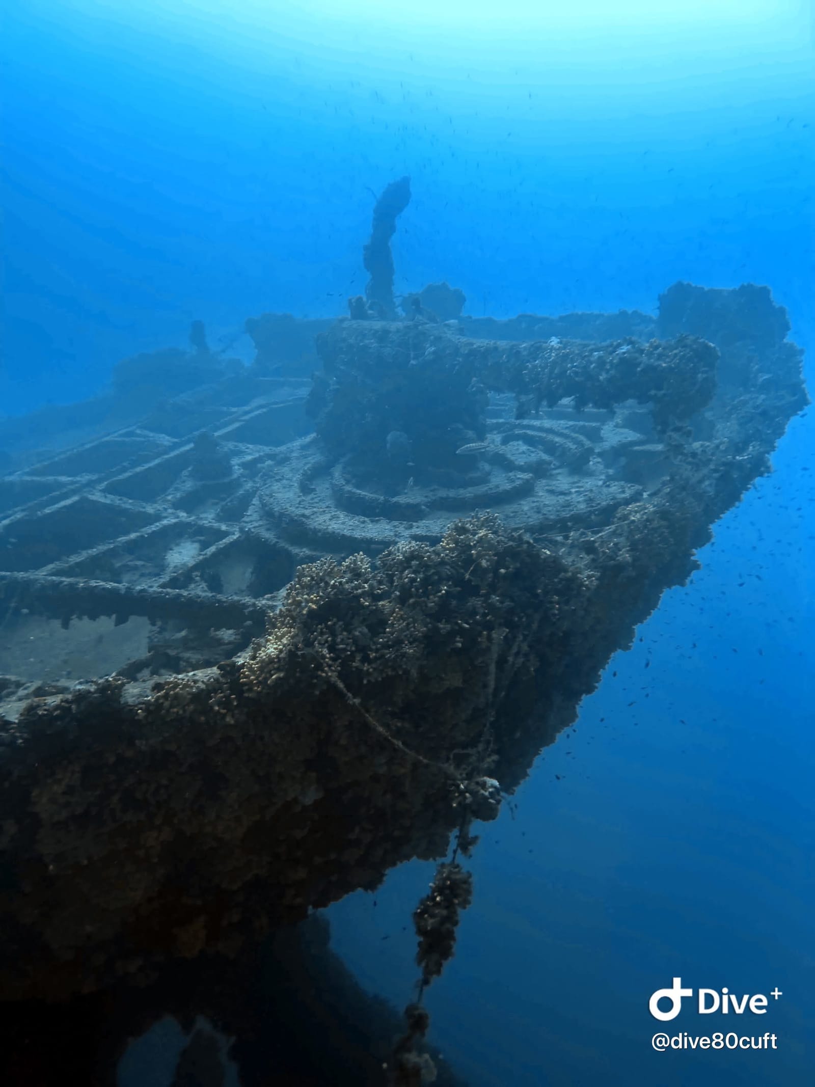 Dive80cuft - technical and recreational diving courses in St Paul's Bay, photo 16
